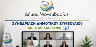 Συνεδρίαση του Δημοτικού Συμβουλίου μέσω τηλεδιάσκεψης